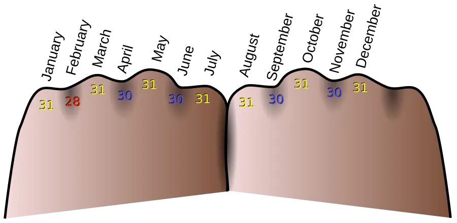 un dessin du dos des deux mains